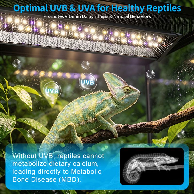 Reptiles Bracket Light Maned L - огляд і ціна Calcium Powder Reptile