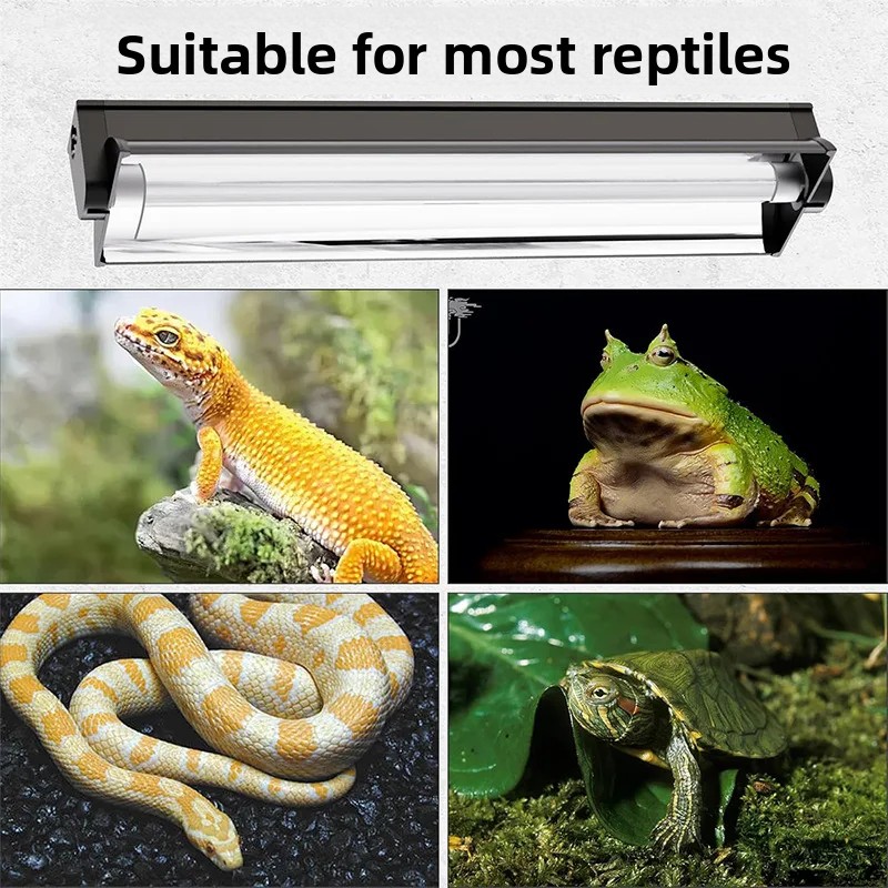 T5 UVB Tube With Integrated Fi - огляд і ціна Calcium Powder Reptile
